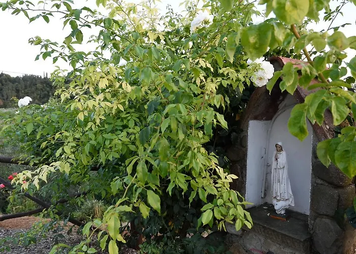 Agriturismo La Casuccia