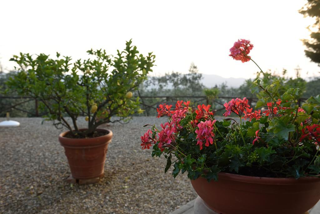 La Casuccia Farm stay *